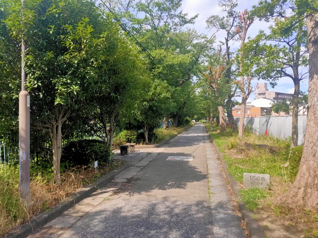 MID WARD CITYの周辺写真11