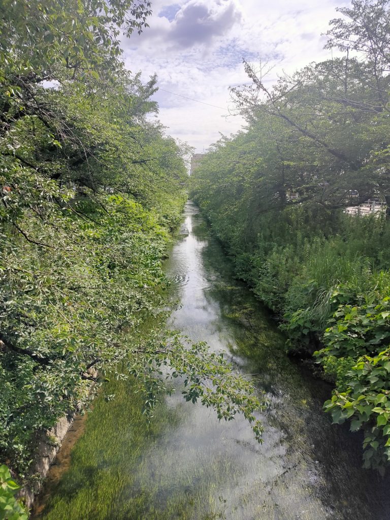 MID WARD CITYの周辺写真14